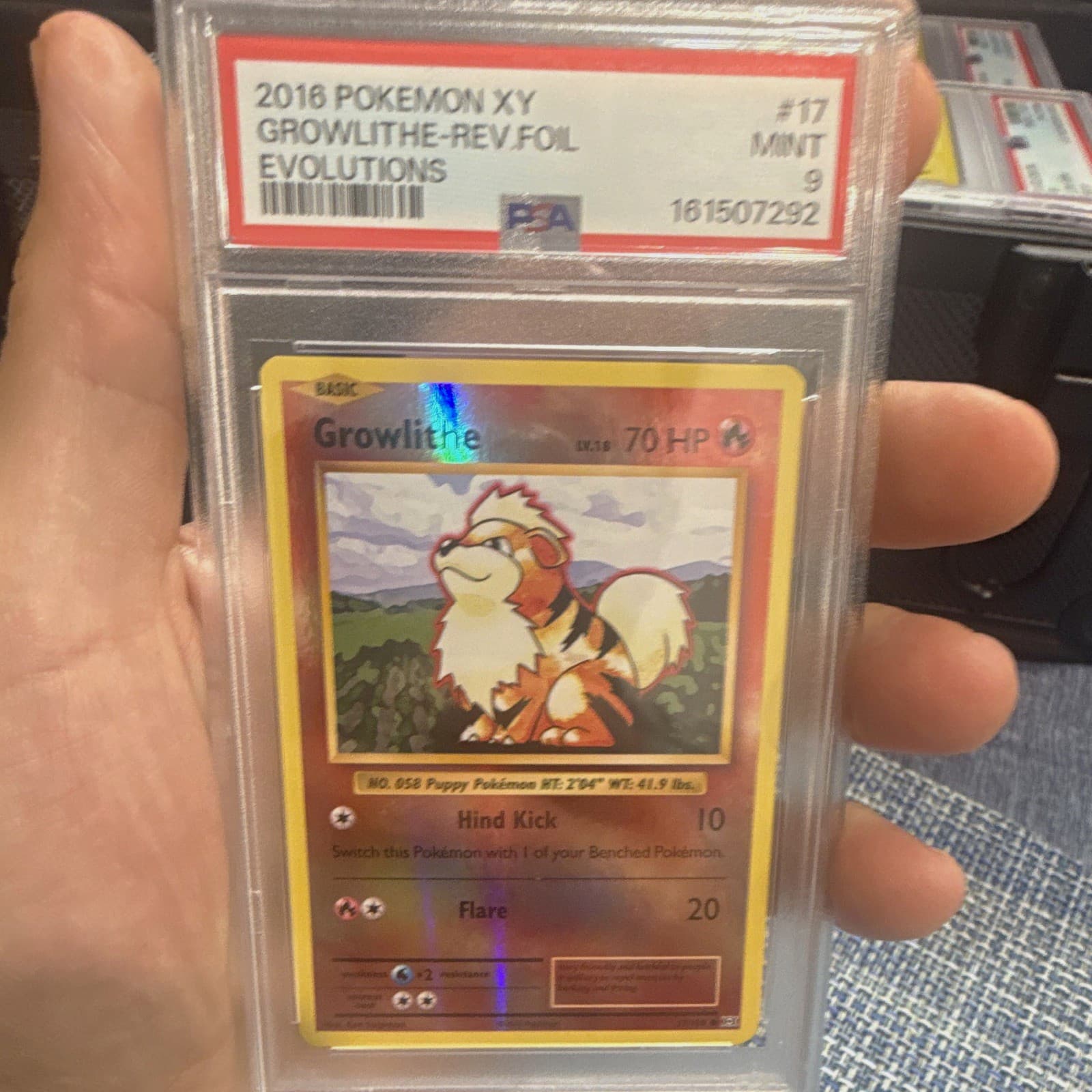 Pokemon 2016 XY Evolutions Growlithe #17/108 Reverse Holo PSA 9 EN