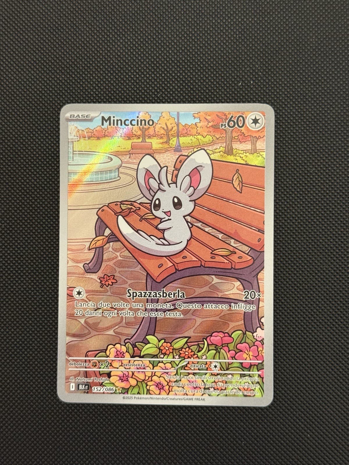 [152/086] Illustration Rare - Pokémon Minccino LUCE NERA ITA - Near Mint/Mint