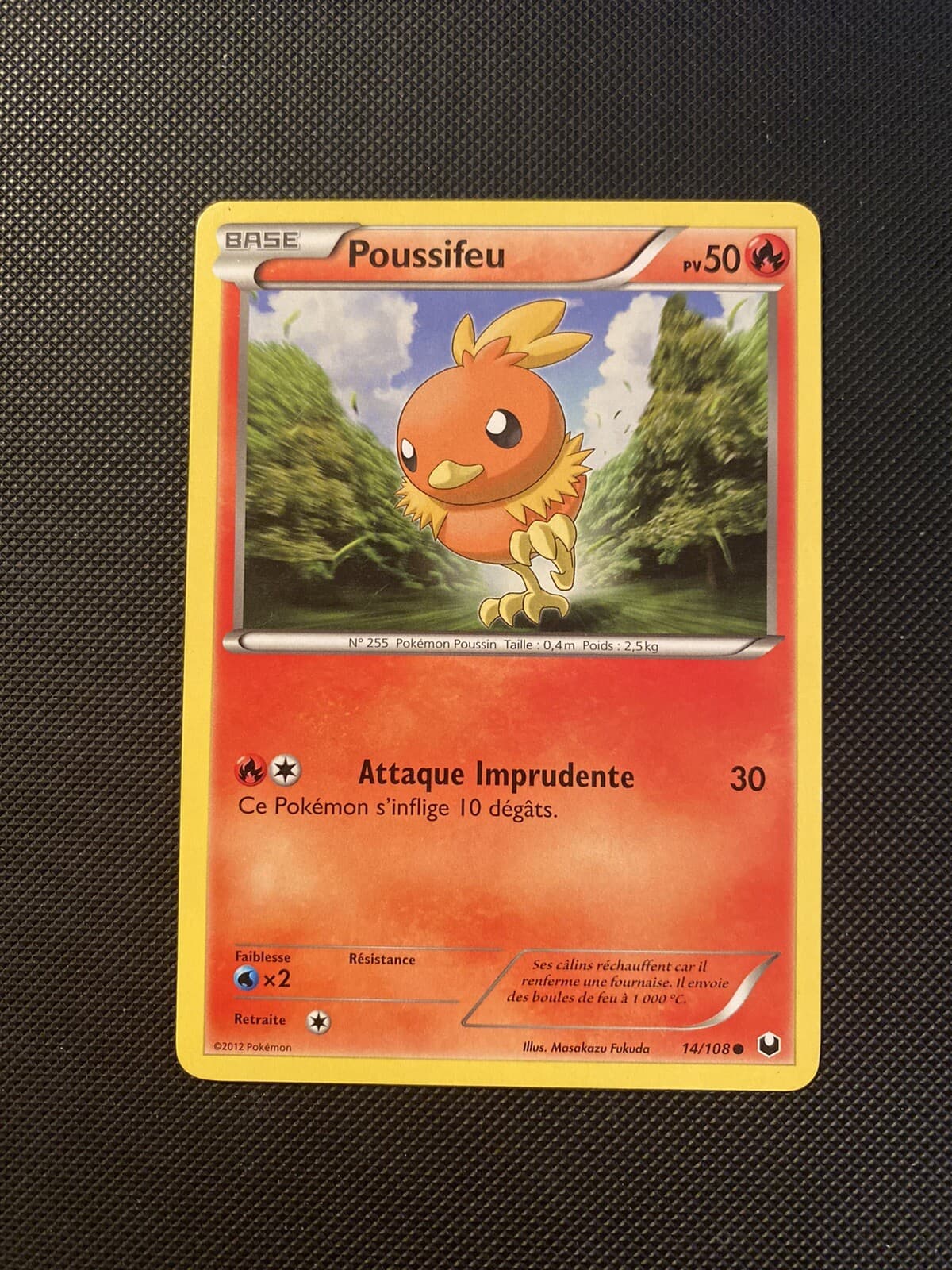 Carte Pokémon Poussifeu 14/108 NB Explorateurs Obscurs - FR