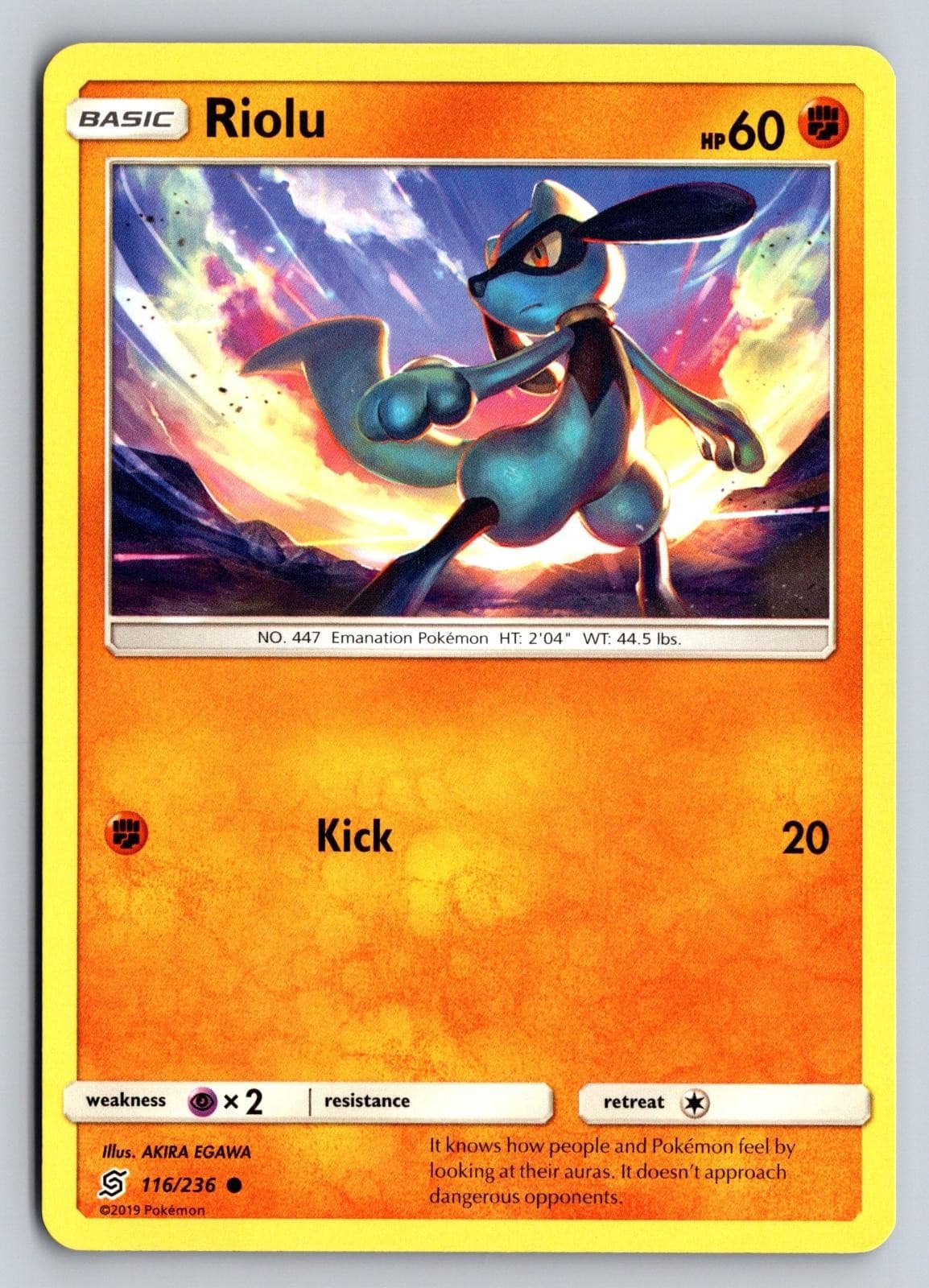 Riolu 116/236 Unified Minds Pokemon EGAWA