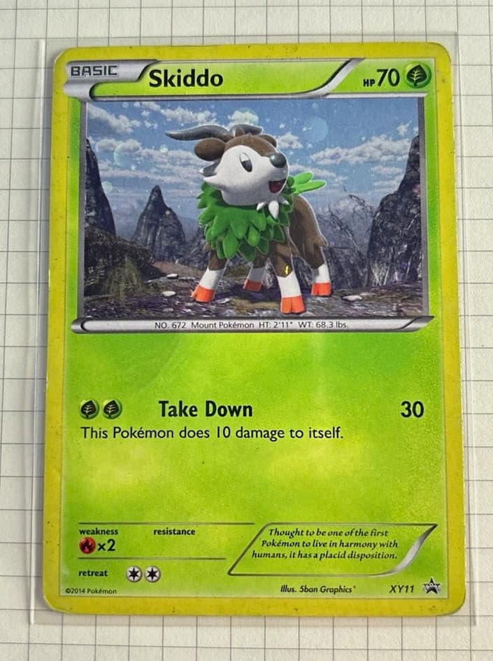 Skiddo XY11 XY Black Star Promos 2014 Holo Pokemon Card