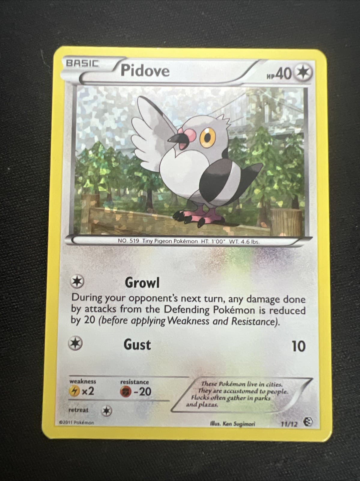 Pidove 011/012 McDonald's 2011 Holo