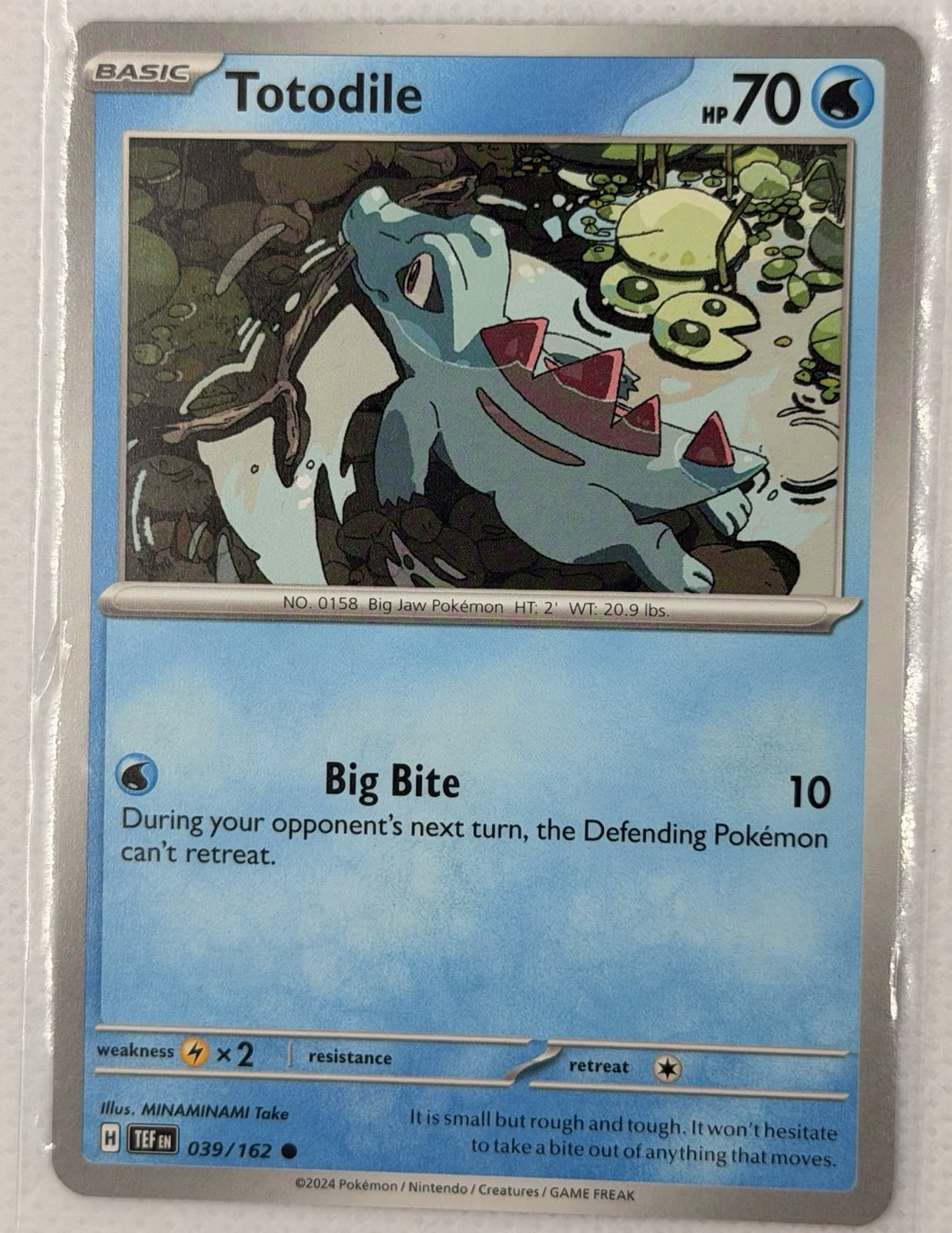 Totodile - 39/162 - Common Regular - Pokemon Temporal Forces - Near Mint