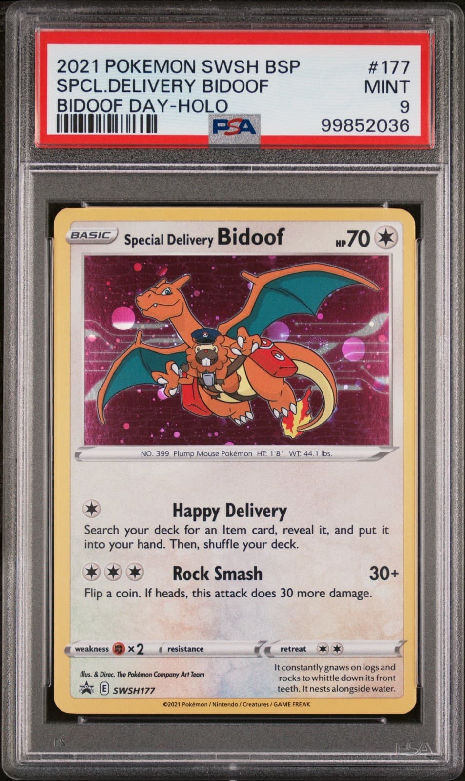 Special Delivery Bidoof SWSH177 SWSH: Sword & Shield Promo Cards Holo PSA 9