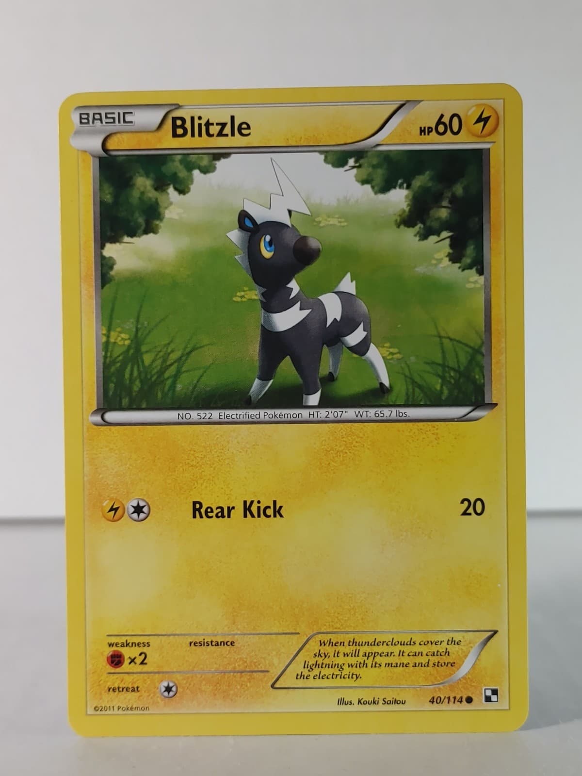 Blitzle - Black & White - 40/114 - Pokemon -NM - B