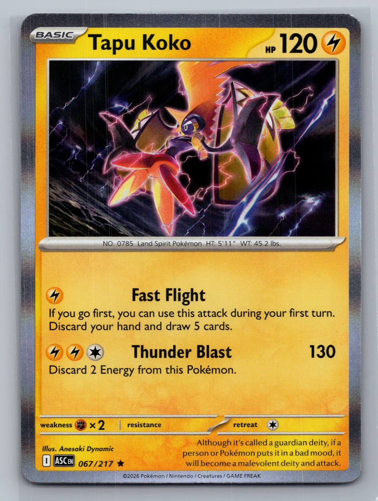 Tapu Koko 67/217 Ascended Heroes Holo Rare Pokemon TCG NM