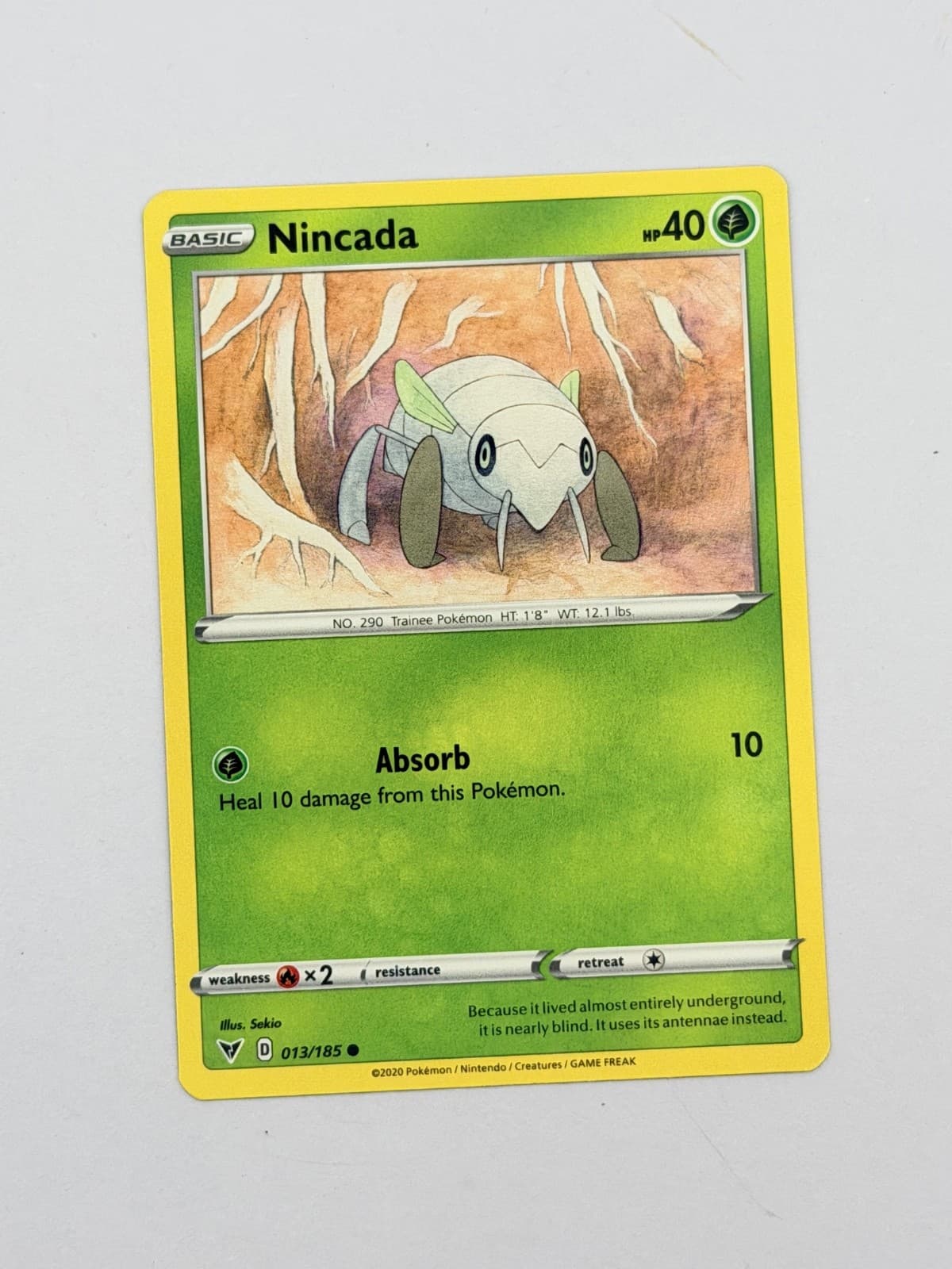 Pokemon Nincada 013/185 Vivid Voltage Non Holo Common