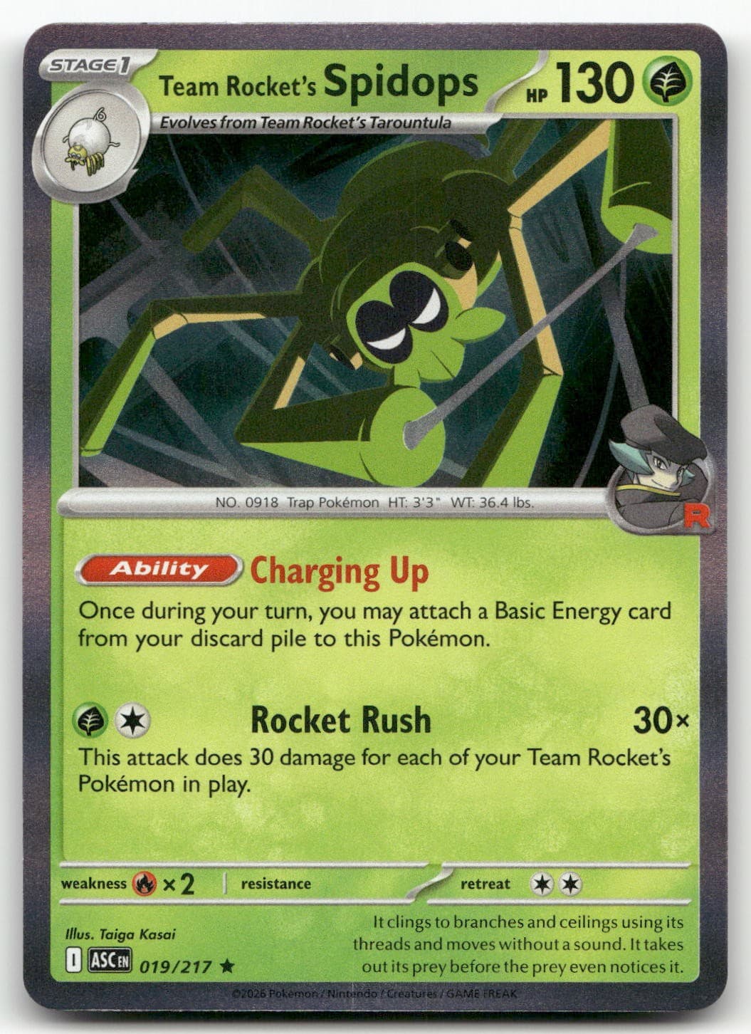 Team Rocket's Spidops #19/217 (Holo) (NM) ME: Ascended Heroes ASC Pokemon