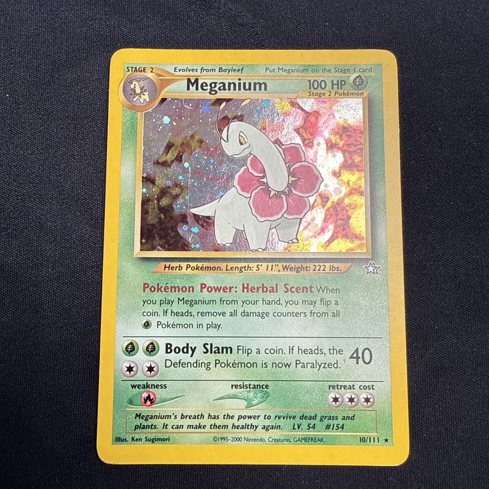 Pokemon TCG Neo Genesis - Meganium (10/111) Holo Rare LP