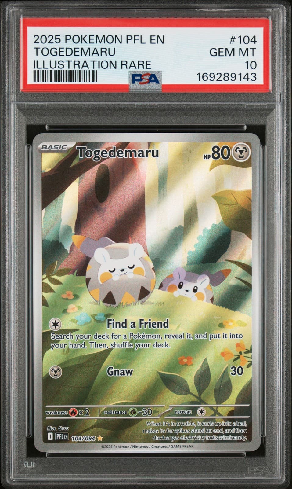 2025 POKEMON PFL EN-PHANTASMAL FLAMES ILLUSTRATION RARE #104 TOGEDEMARU PSA 10