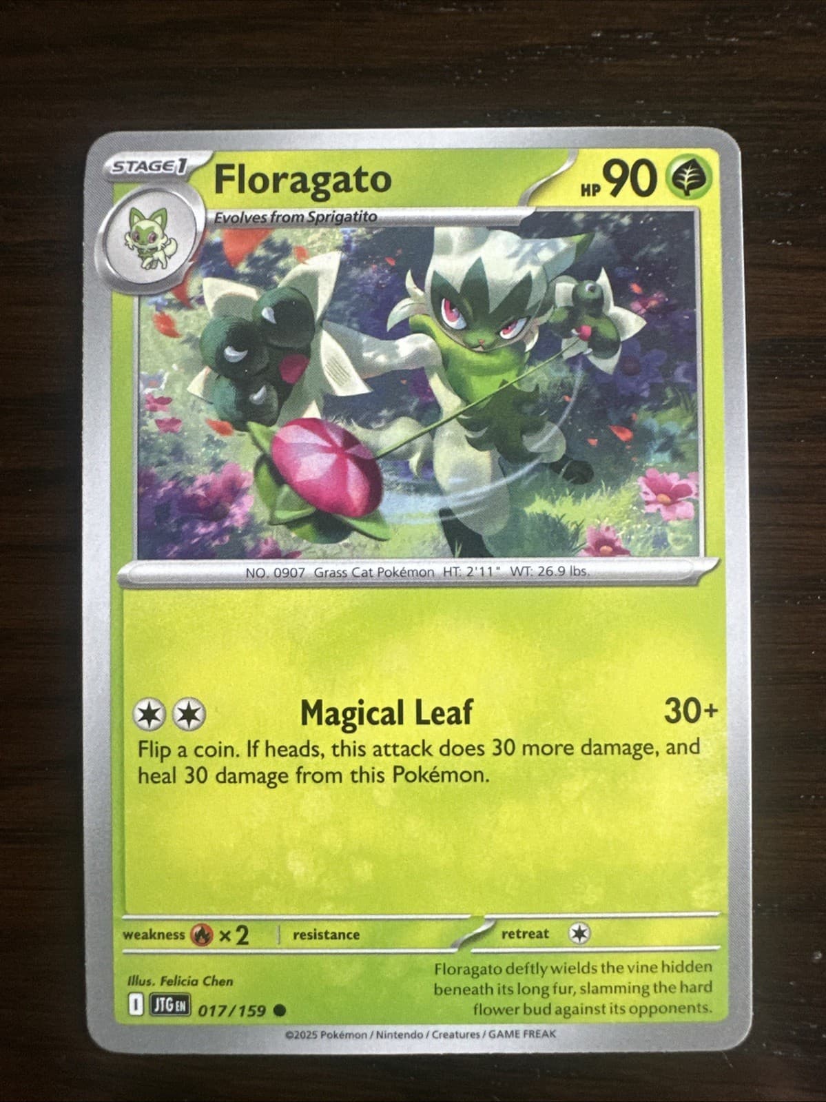 Floragato 17/159 Journey Together Common Near Mint Pokemon