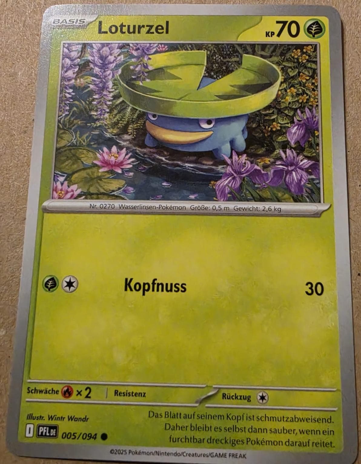 Pokémon Loturzel Fatale Flammen #5/94 🇩🇪