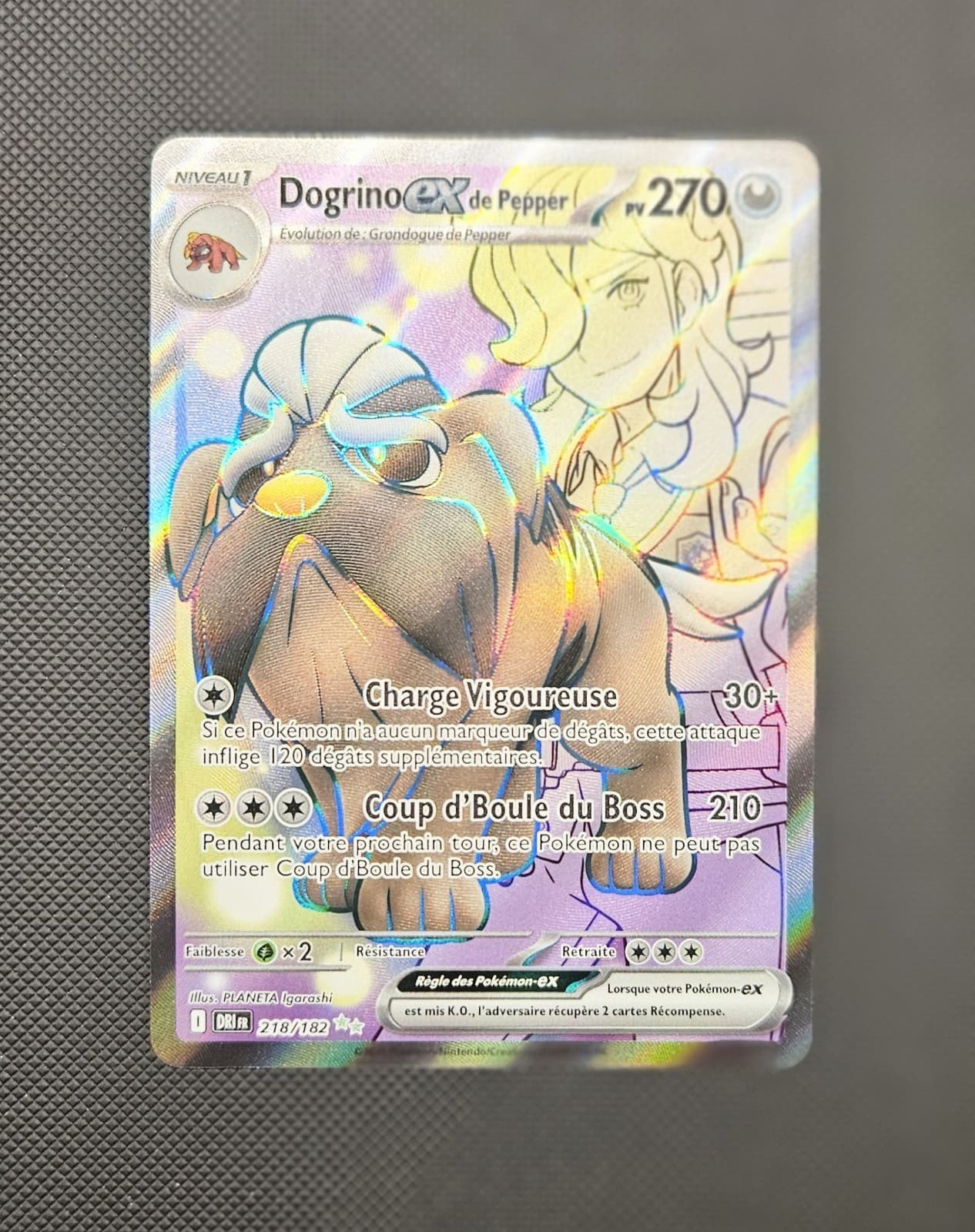 Carte Pokemon DOGRINO 218/198 Holo Secrète EV1 Ecarlate et Violet SV1 FR NEUF