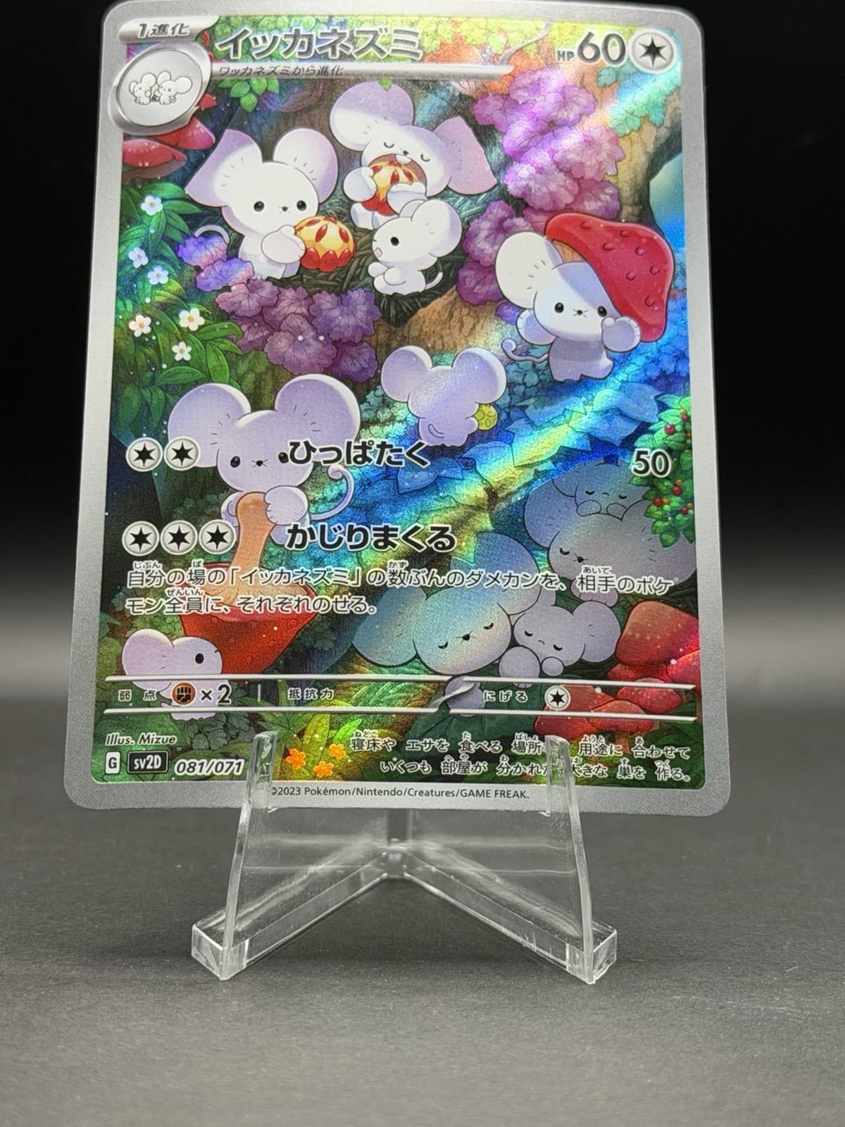 Maushold 081/071 AR Pokemon Card Triplet Beat SV2D Japanese Illustration Rare