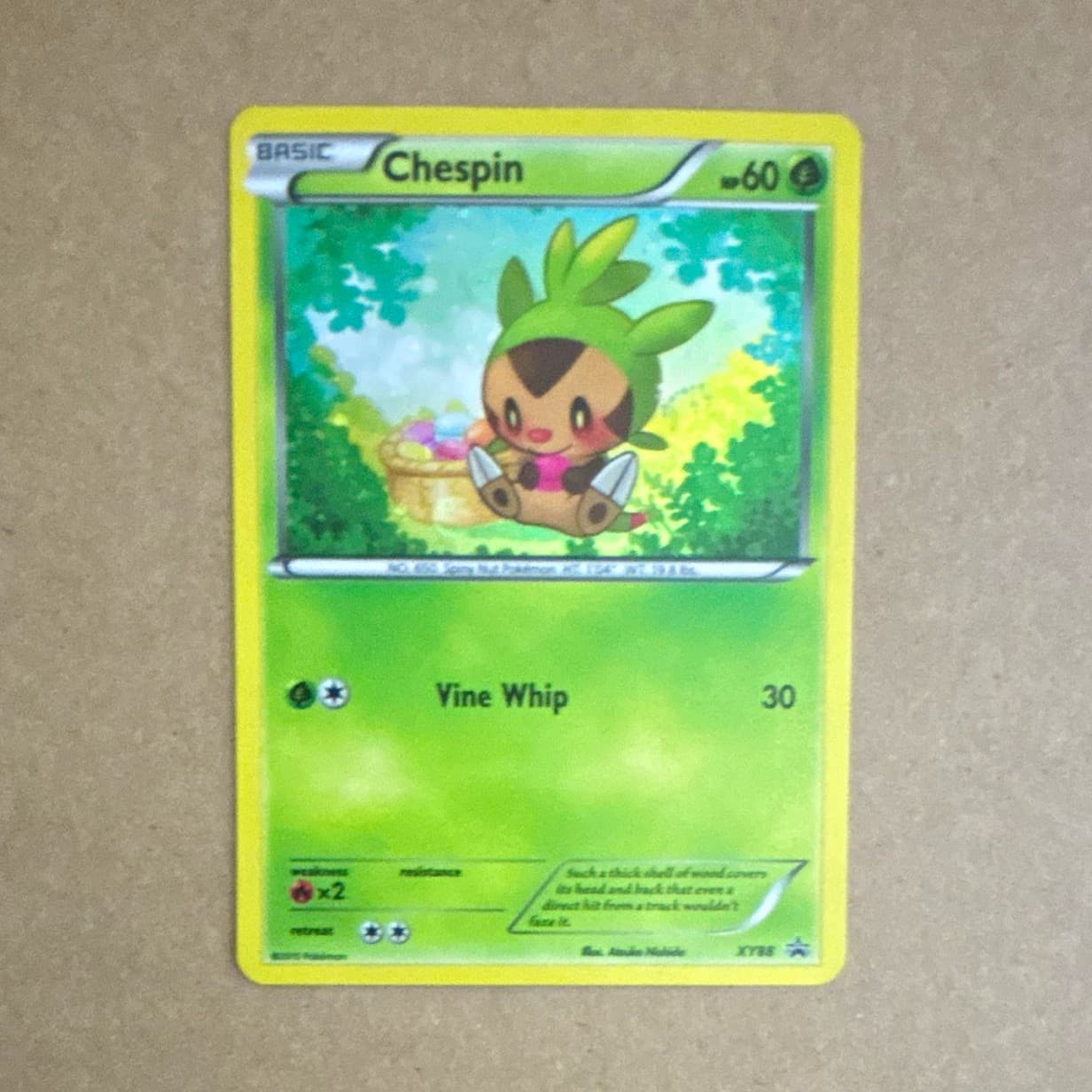 Chespin XY88/XY Promo Holo Basic 60 HP English 2015 Pokémon TCG