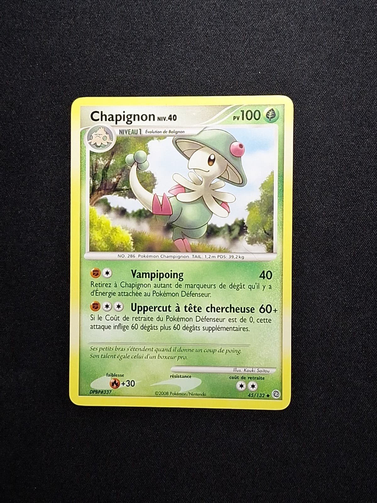 Chapignon 45/132 DP Merveilles secrètes Pokémon FR
