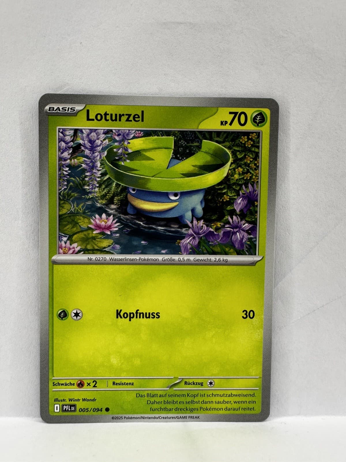 Pokémon Karte 2025 TCG Loturzel 5/94 Fatale Flammen Deutsch