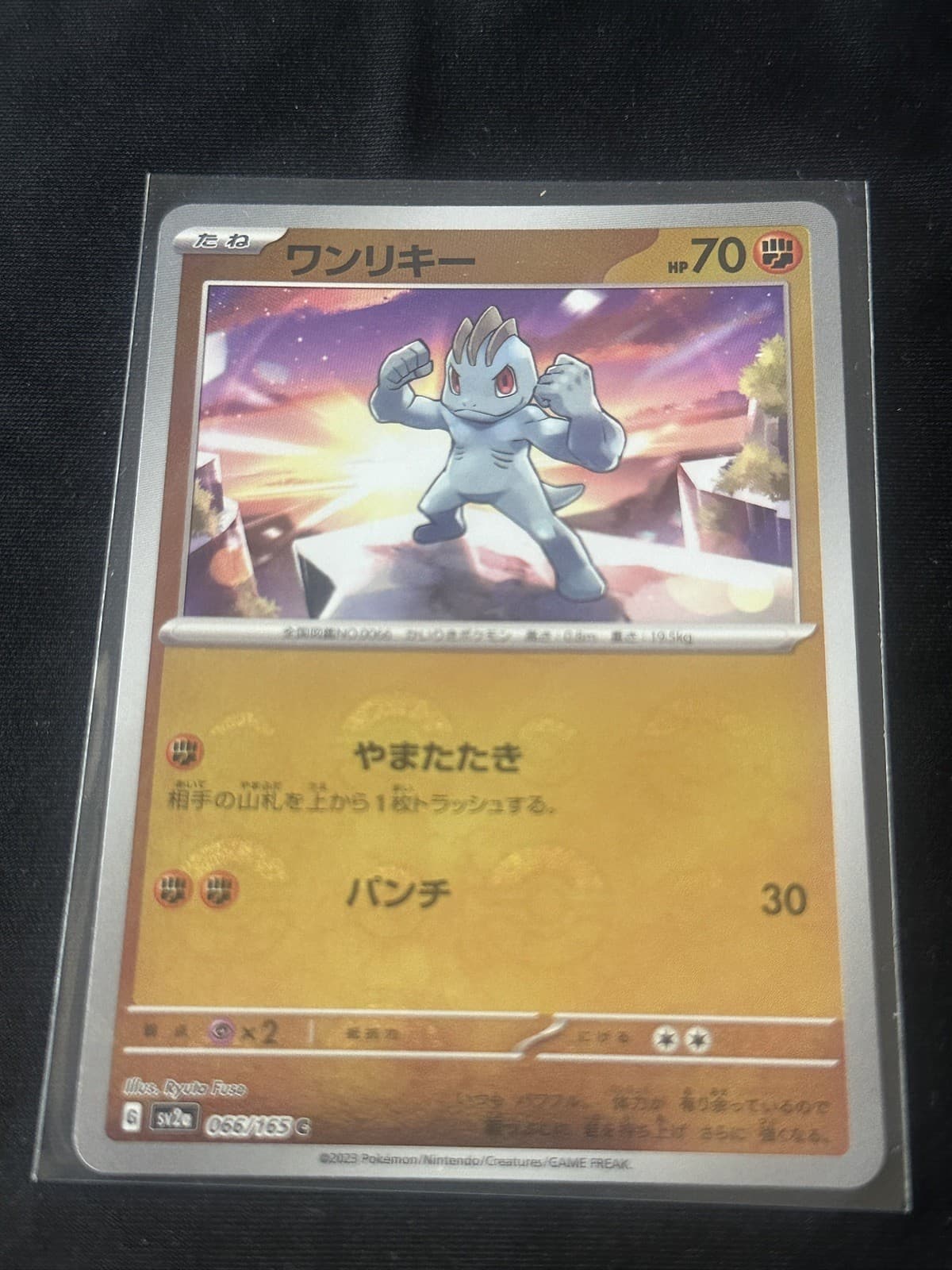 Machop (Poke Ball Pattern) 066/165 Sv2a: Pokemon Card 151 Holo (Japanese)