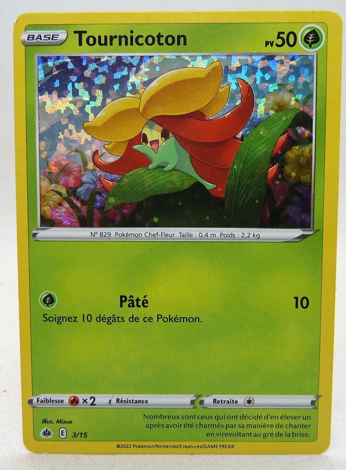 Carte Pokemon Tournicoton 3/15 Holo Promo McDonald’s 2022 FR tbe