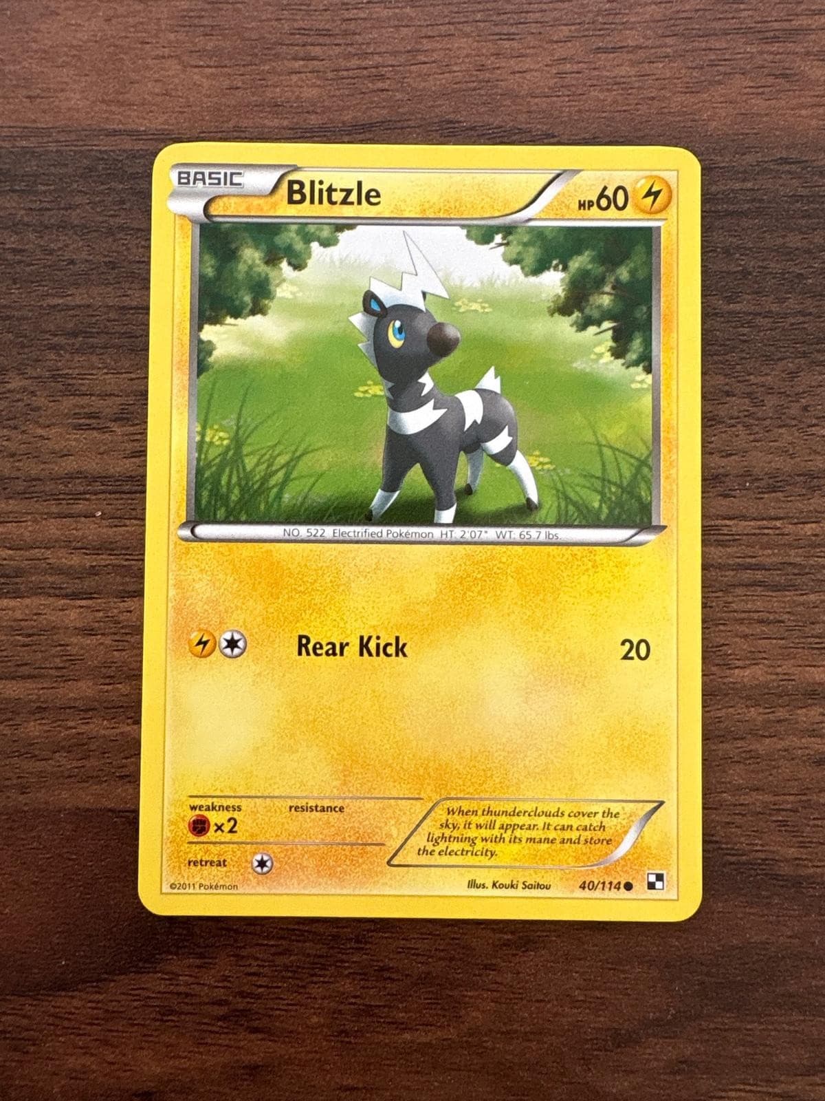 Pokémon Black and White #40/114 Blitzle NM