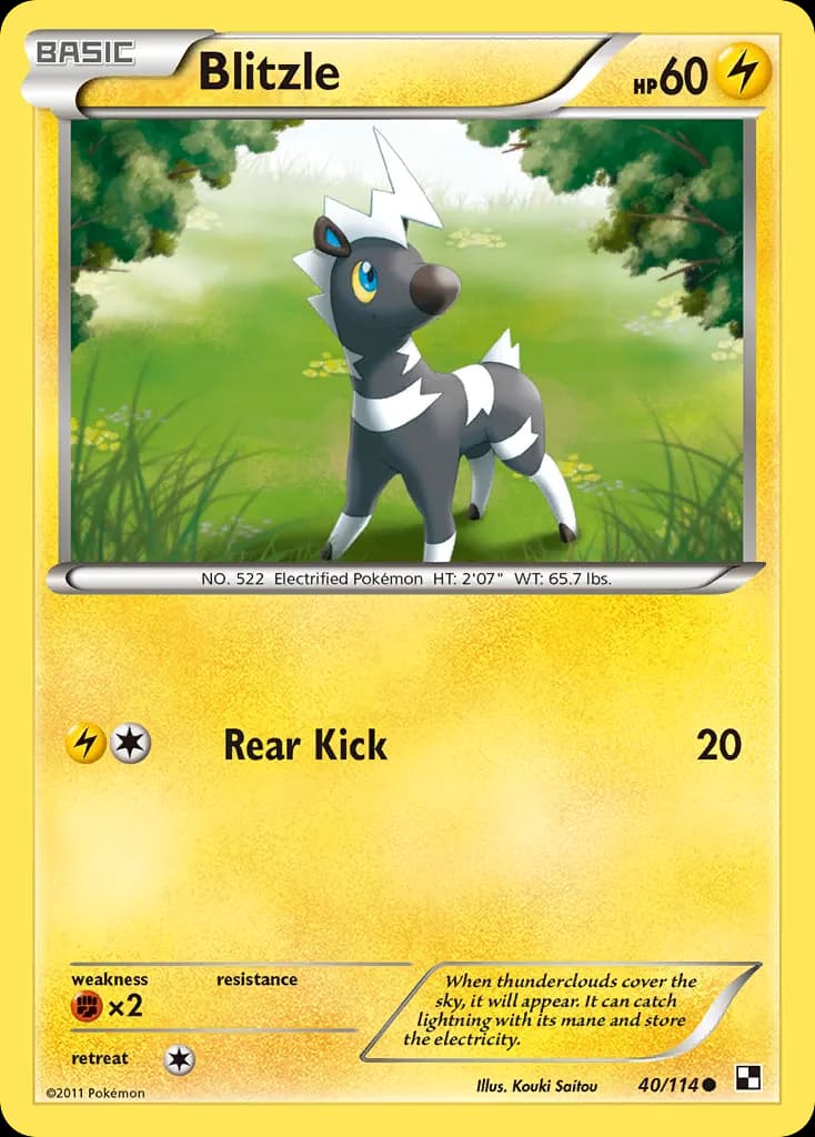 Blitzle — Black & White 40 Pokémon card