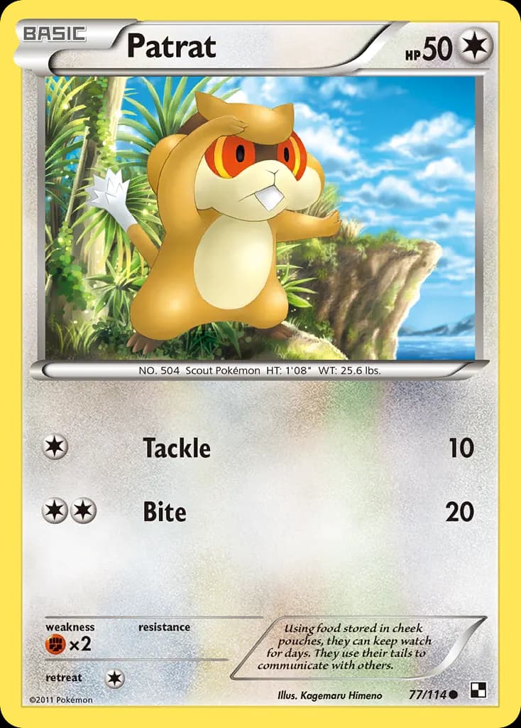 Patrat — Black & White 77 Pokémon card