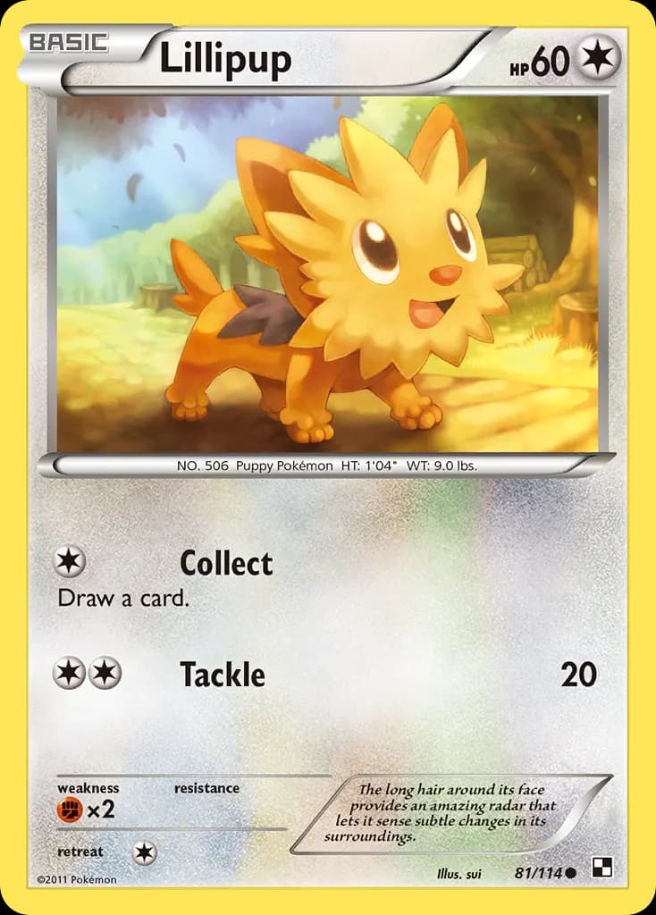 Lillipup — Black & White 81 Pokémon card