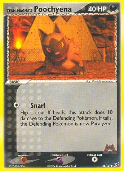 Team Magma's Poochyena — Team Magma vs Team Aqua 65 Pokémon card