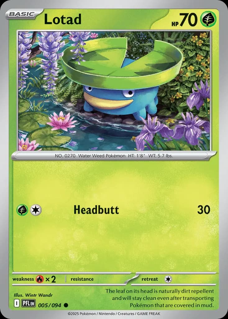 Lotad — Phantasmal Flames 5 Pokémon card