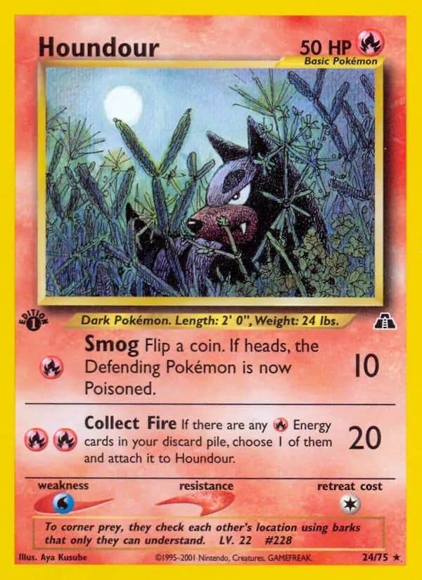Hunduster — Neo Entdeckung 24 German Pokémon card