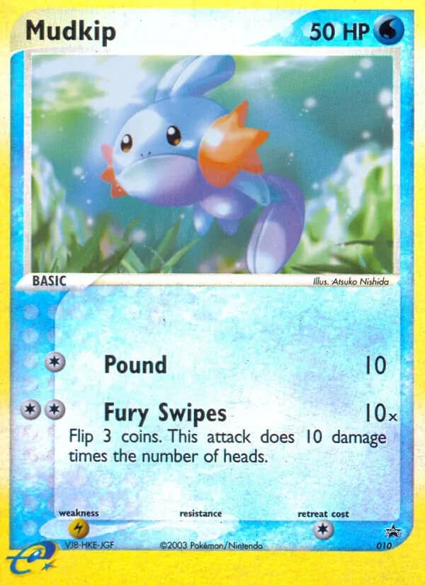 Gobou — Promo Nintendo 10 French Pokémon card