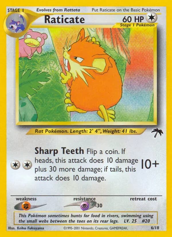 Raticate — Southern Islands 6 Pokémon card
