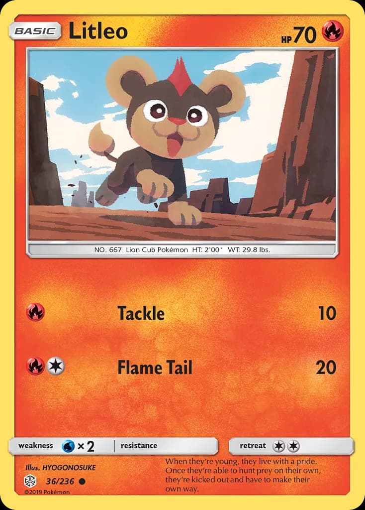 Litleo — Cosmic Eclipse 36 Pokémon card