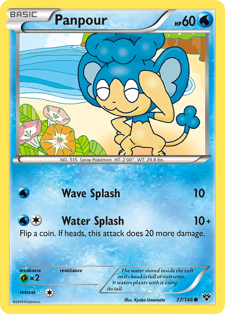 Panpour — XY 37 Pokémon card