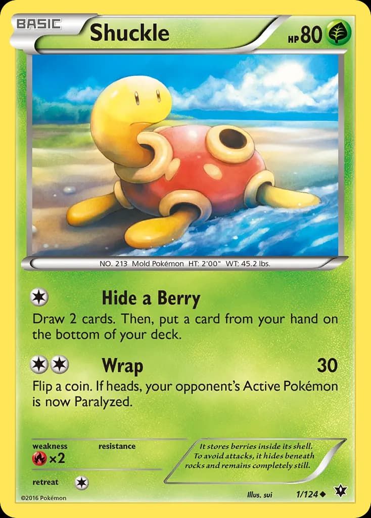 Shuckle — Fates Collide 1 Pokémon card
