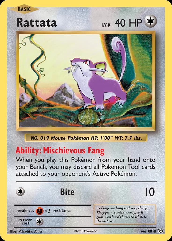 Rattata — Evolutions 66 Pokémon card