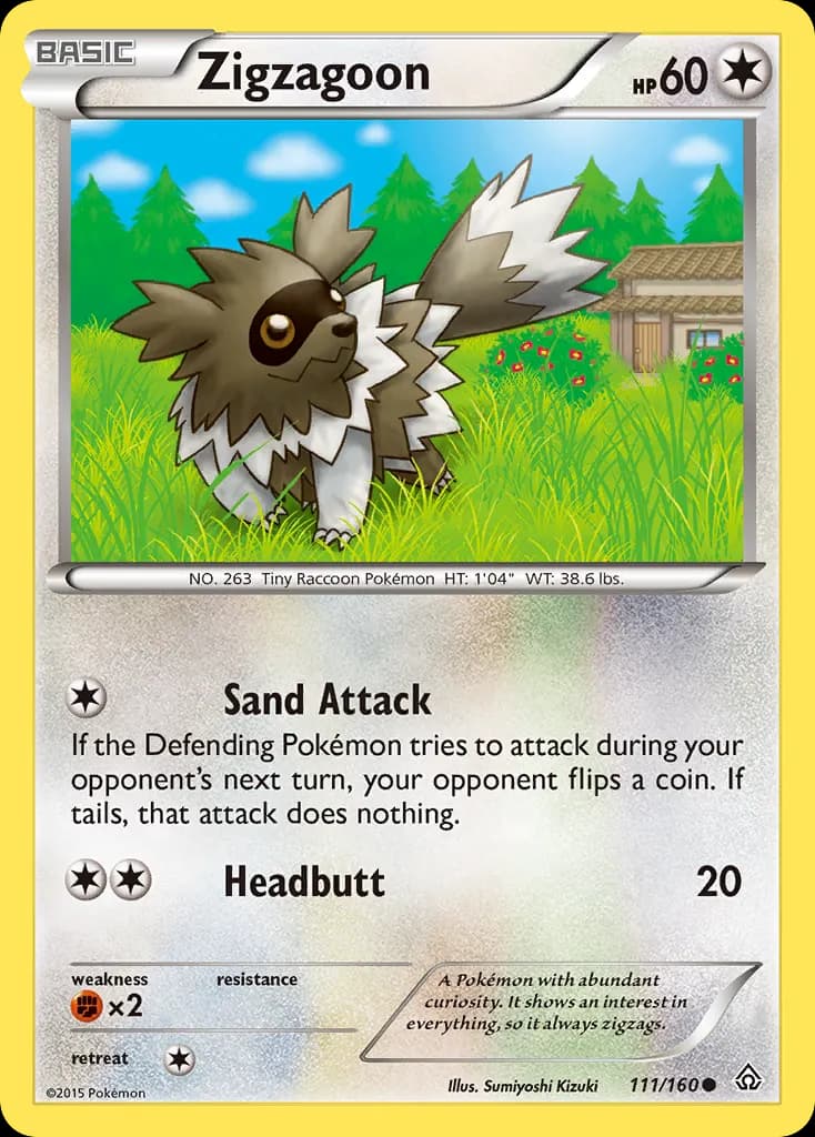 Zigzagoon — Primal Clash 111 Pokémon card