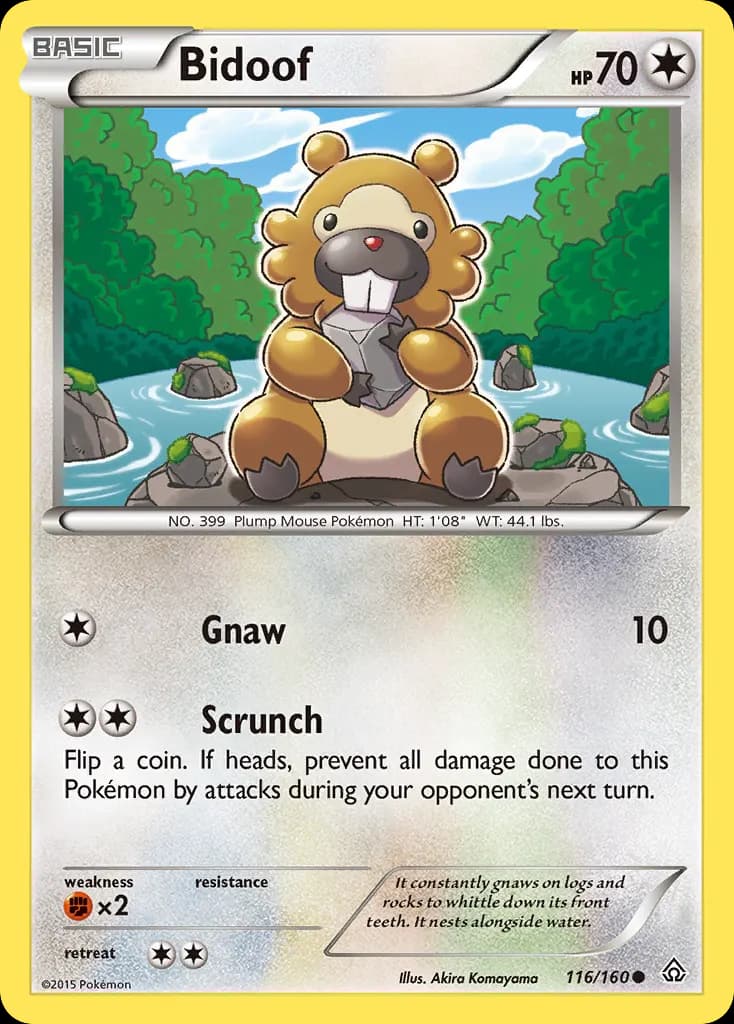 Bidoof — Primal Clash 116 Pokémon card