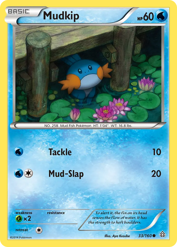 Mudkip — Primal Clash 33 Pokémon card