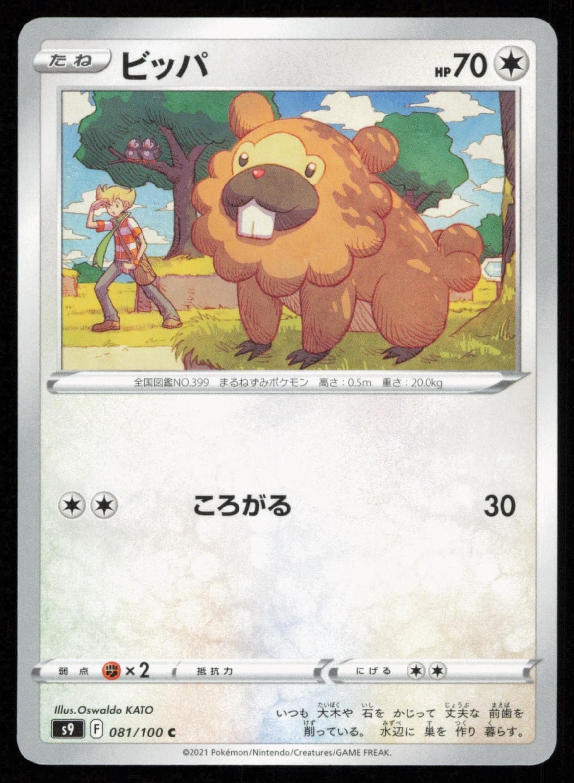 Bidoof 081/100 Common Japanese Pokemon Star Birth s9 NM