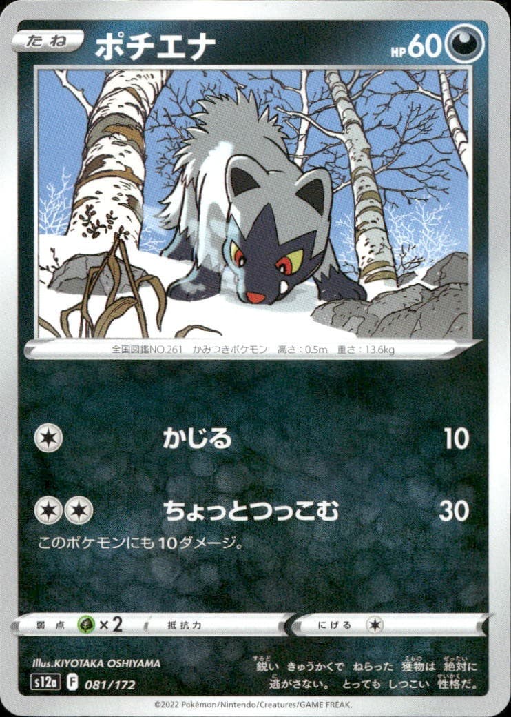 Poochyena 081 S12a VSTAR Universe N NM Pokémon — Japanese