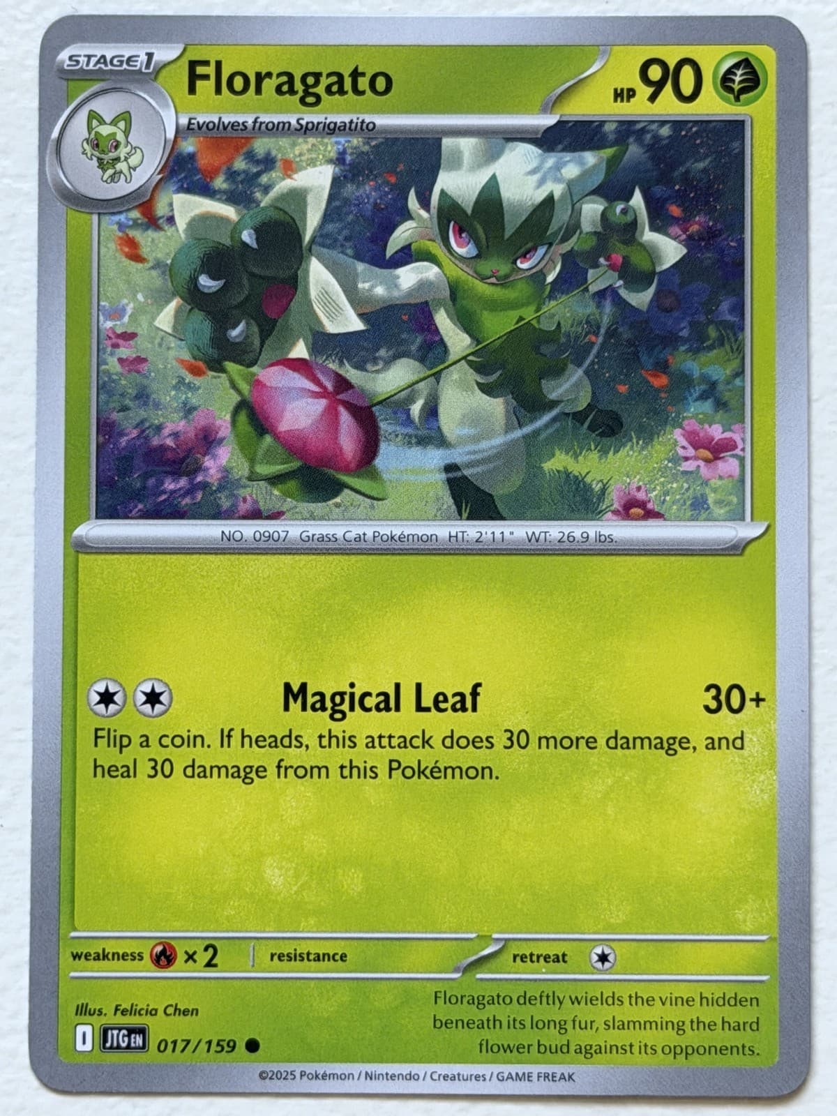 Floragato 17/159 Journey Together Common Near Mint Pokemon