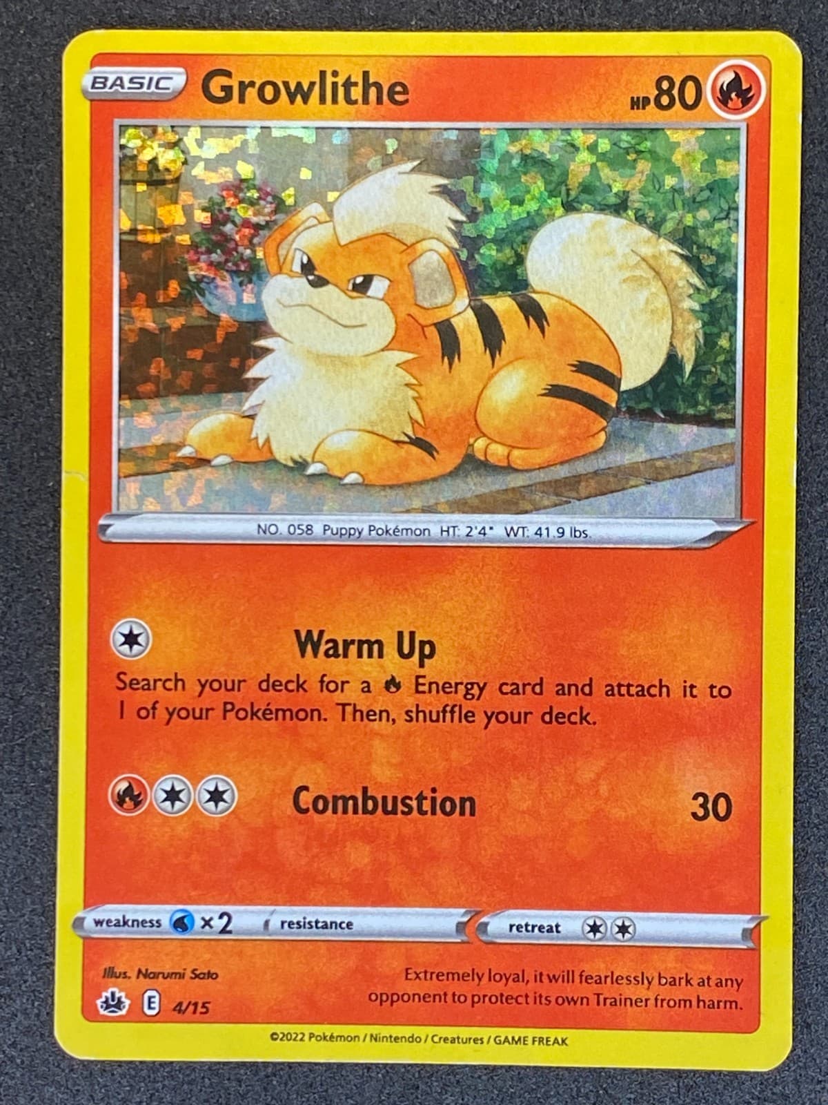 Pokémon Growlithe Confetti Holo 4/15 McDonald's Collection 2022 MP