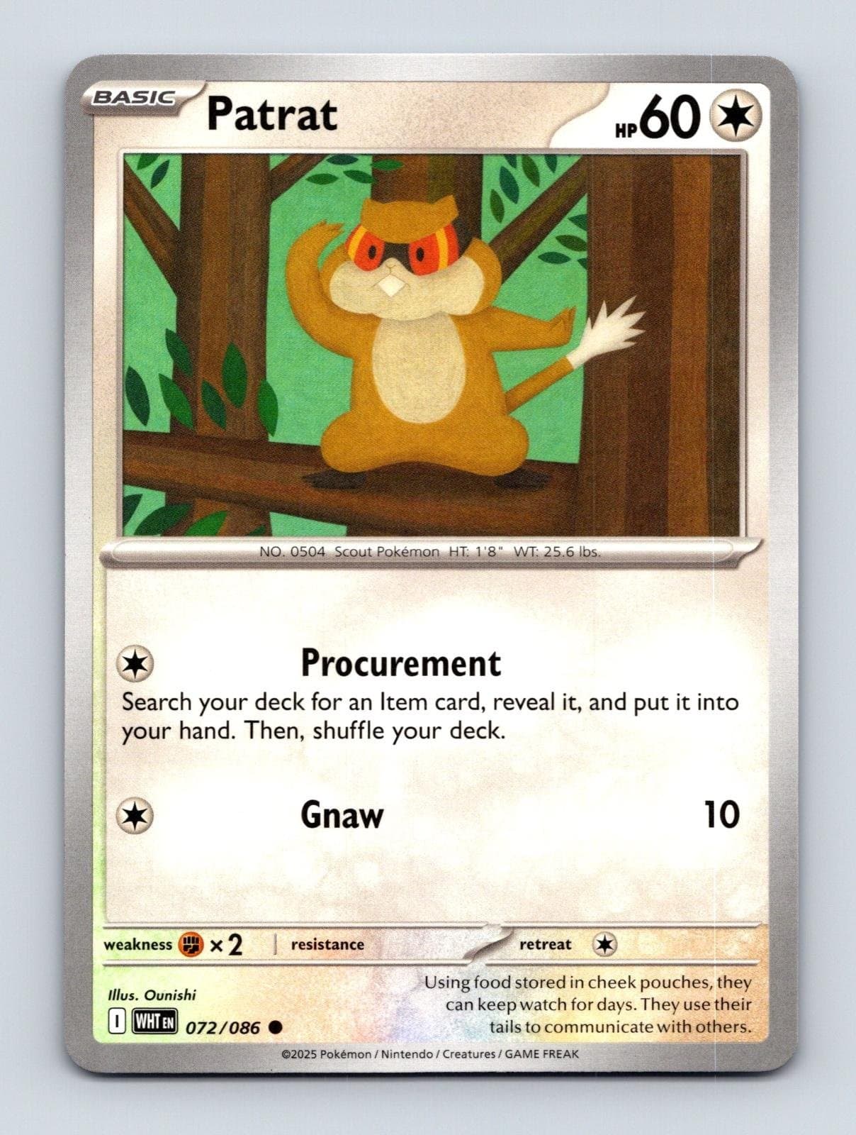 Patrat 72 - SV: White Flare Pokemon 2025