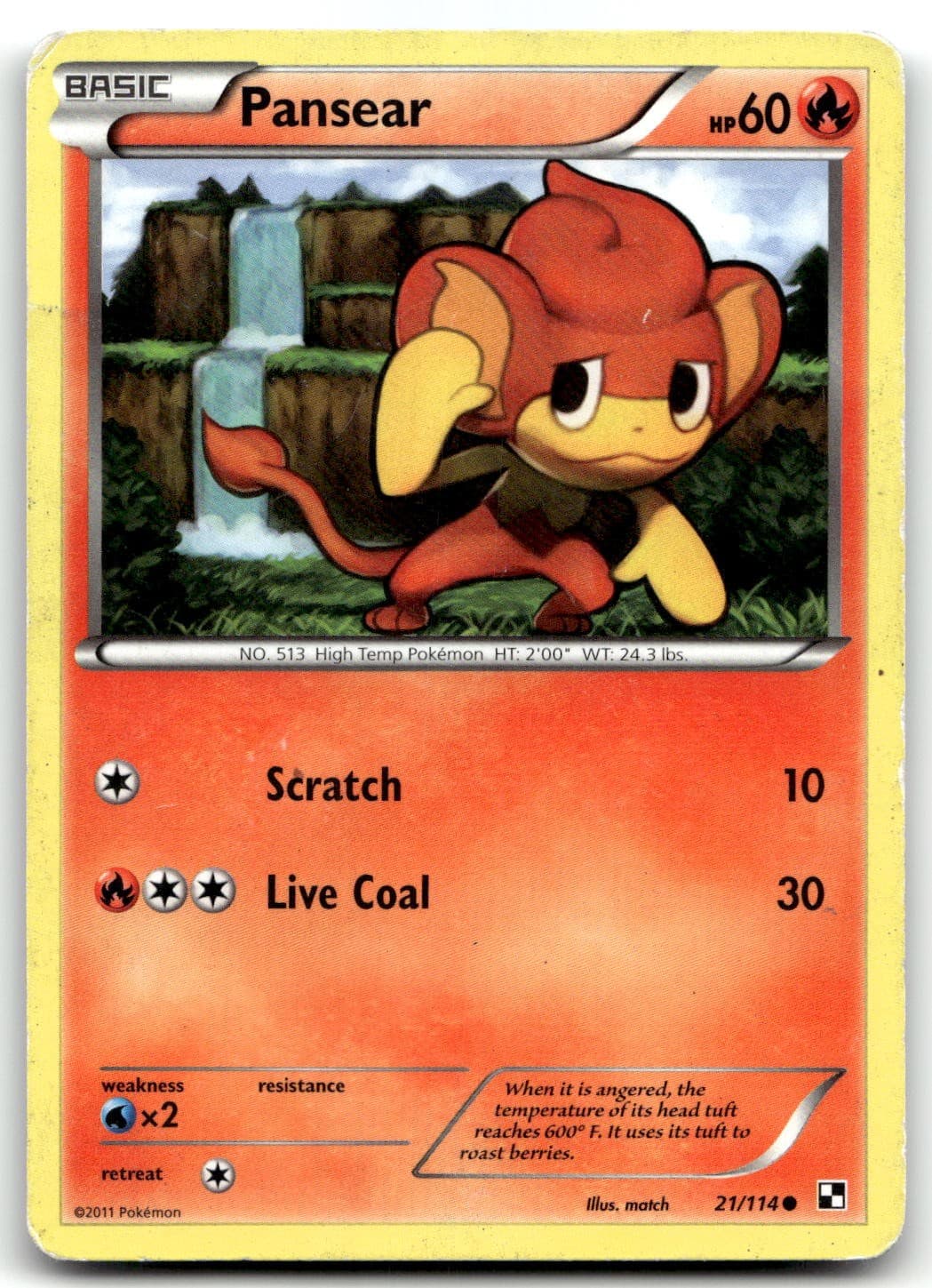Pansear 21/114 Black and White Common Normal Pokemon TCG HP