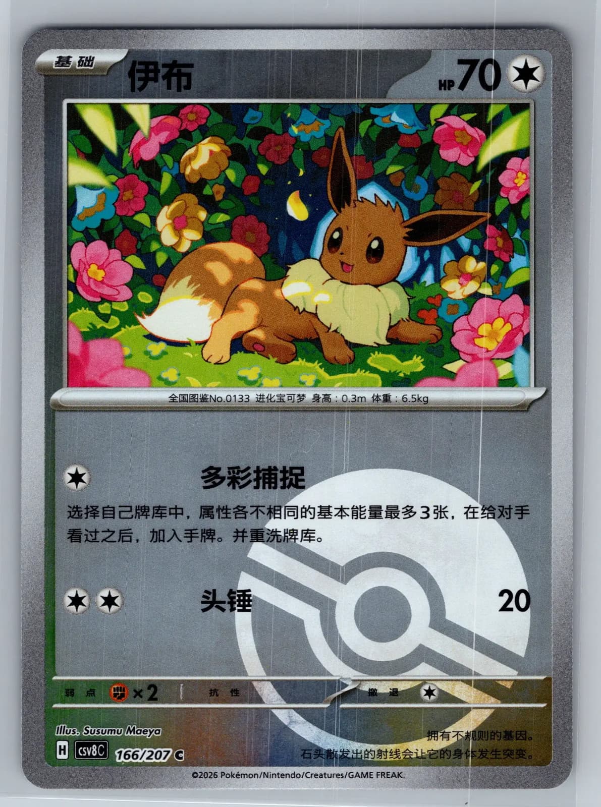 Eevee 166/207 Simplified Chinese Pokemon TCG NM
