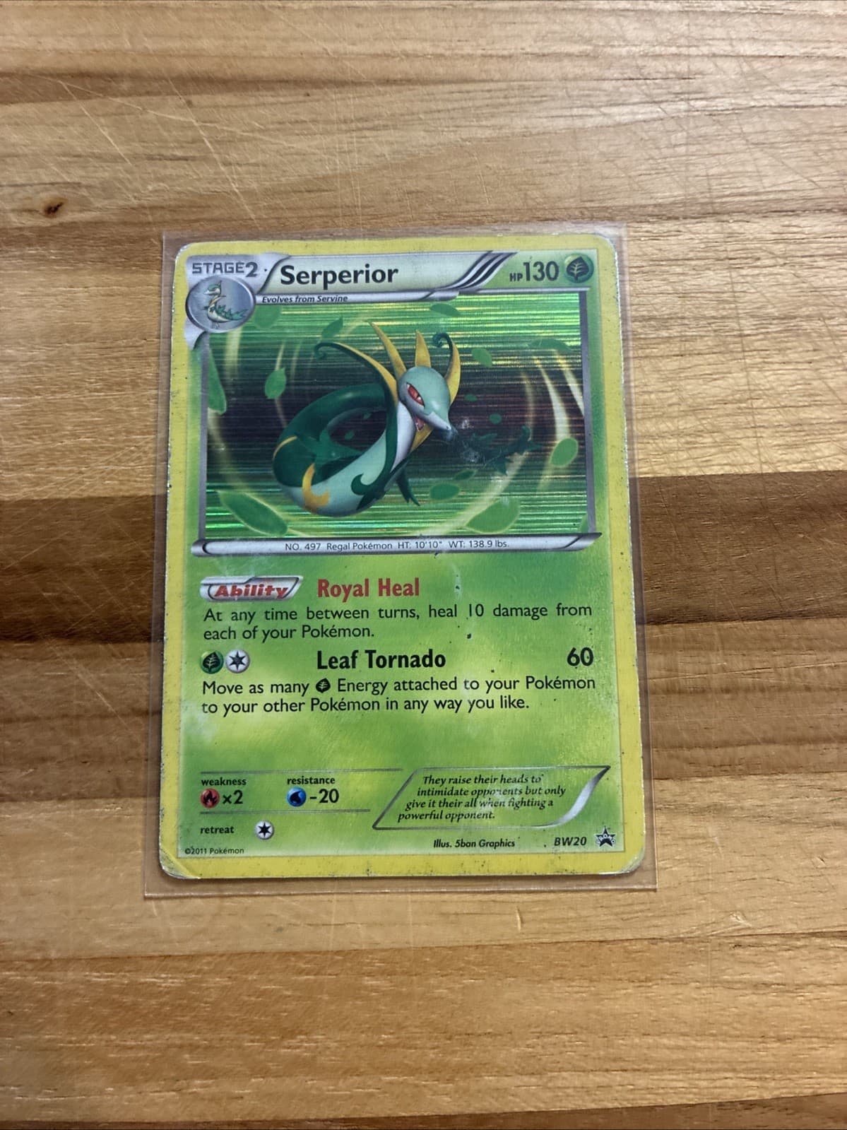 Pokémon TCG Serperior Black Star Promos BW20 HP Holo Card Collectible