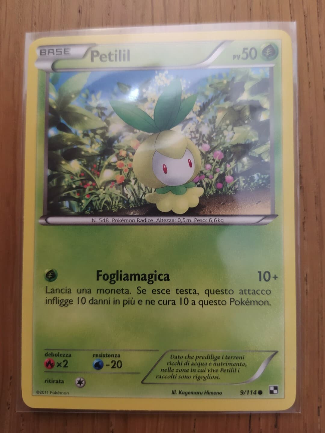CARTA POKEMON PETILIL (9/114) - BIANCO E NERO - COMUNE - ITA - 2011