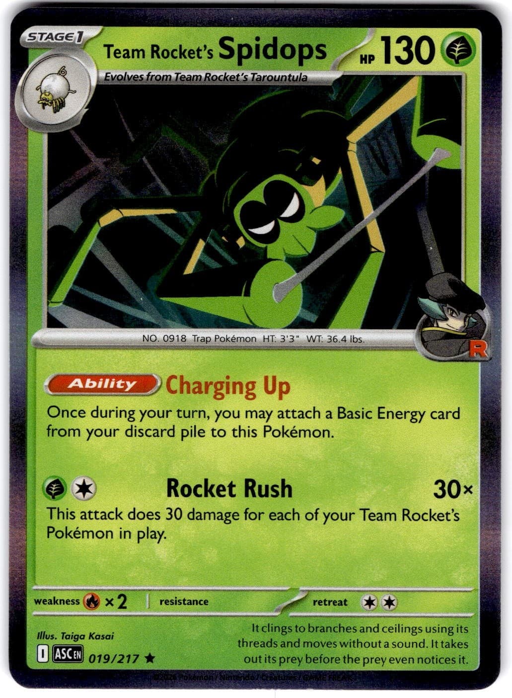 Pokemon Team Rocket's Spidops Ascended Heroes 19/217 Normal Holo Near Mint