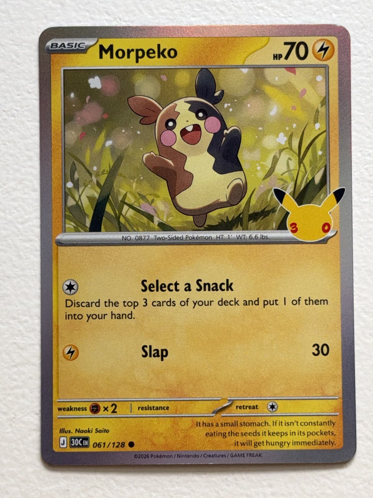 Morpeko 61/128 30th Celebration Common Holo Near Mint Pokemon